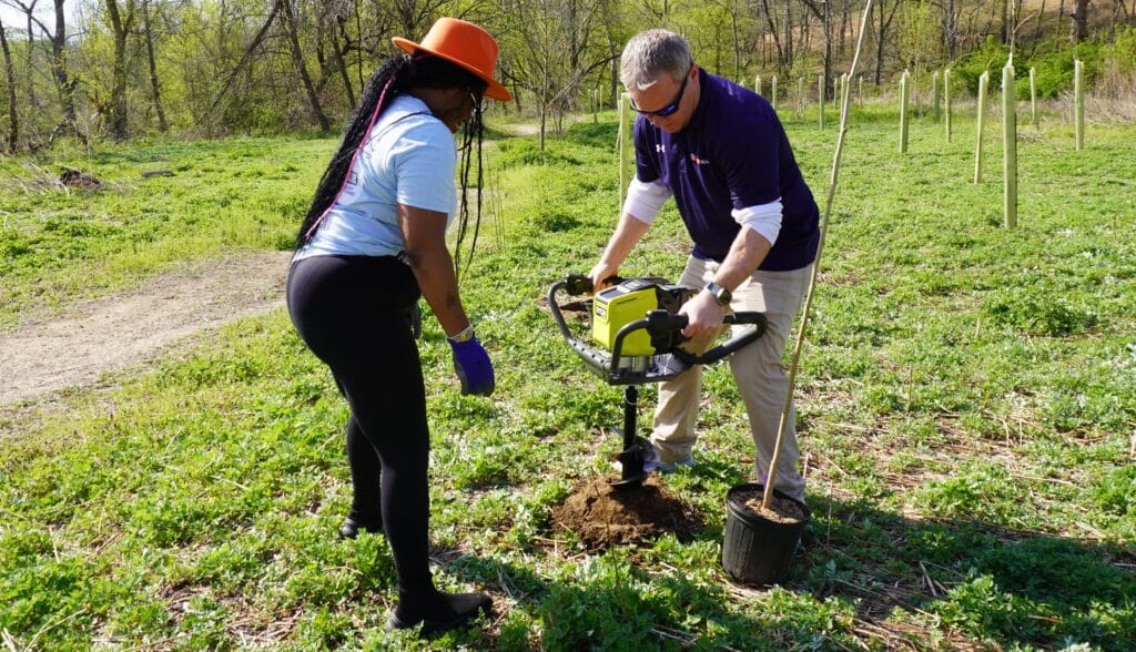 SunnyMac Plants Trees